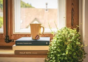 風水で観葉植物を玄関に飾る 玄関外に置く植物で風水的に良い物は ワーキングママの応援ブログ